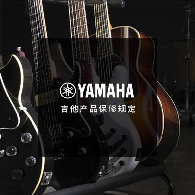 吉他、贝斯和音箱